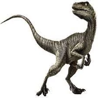 WelociRaptor