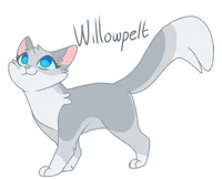 Willowpelt