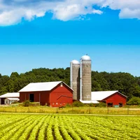 Green Valley Farm TF