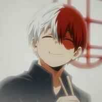 Shouto todorki