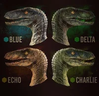 Raptor Squad
