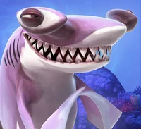 Smooth Hammerhead