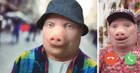 John Pork