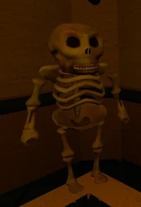Skeleton