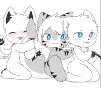 Tiger Squid n Colin
