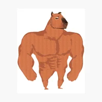 Bara Capybara