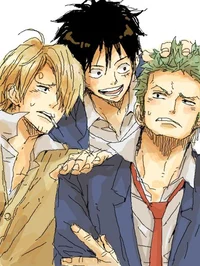 Zoro Luffy and Sanji