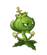 Weed_Invasive Specie