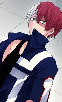 Shoto Todoroki