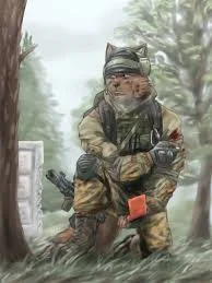 Furry soldier barry