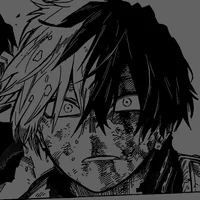 Shoto Todoroki