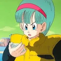 Namek Bulma