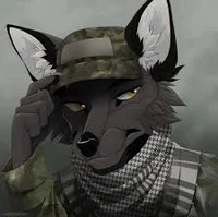 furry Soldier svilki