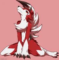 Midnight Lycanroc