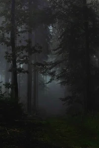 The Deep Forest