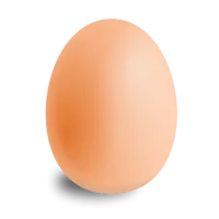 egg