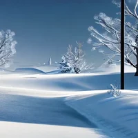 Winter rage survival