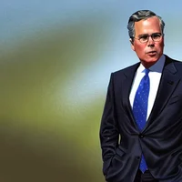 Jeb Bush