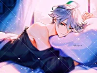 Alhaitam the servant