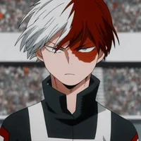 Shoto Todoroki 