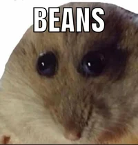 Beans