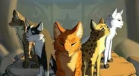 Warrior Cats RP