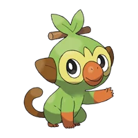 Grookey