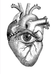 The Heart
