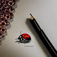 Ladybug
