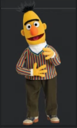 Bert