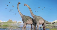 Brachiosaurus