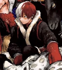 Shoto Todoroki