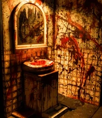 Haunted Bathroom Sim