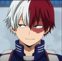 Shoto Todoroki