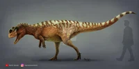 Ceratosaurus 