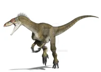 Eoraptor 