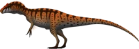 Allosaurus fragilis 