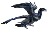 Microraptor