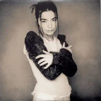 Bjork