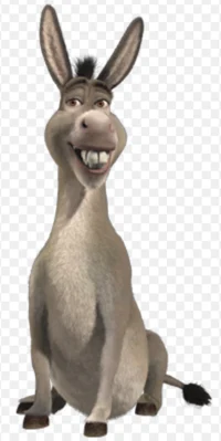 Donkey 