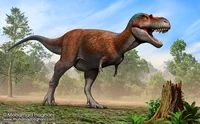 Albertosaurus 