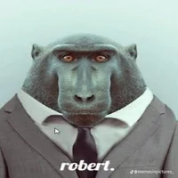 robert
