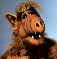 ALF