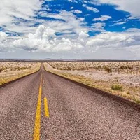 Surviving on Highway