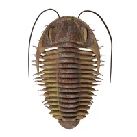 Trilobite