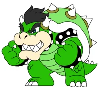 Shaun s Bowser Form