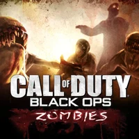 COD Zombies 