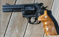 Smith and wesson 686