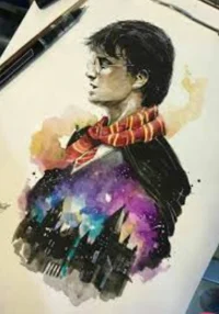 hate to love Harry P