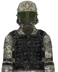 Chaos Insurgent